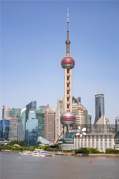 提供专业抓取龙筋服务的广州机构